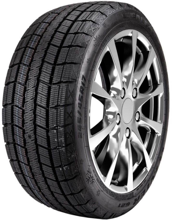 Шины Centara WINTER RX621 225/50 R18 95H в интернет-магазине Автоэксперт в Москве