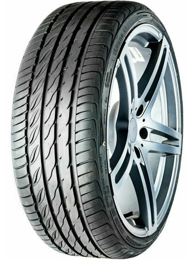 Шины MASSIMO Leone L1 255/50 R19 107W в интернет-магазине Автоэксперт в Москве