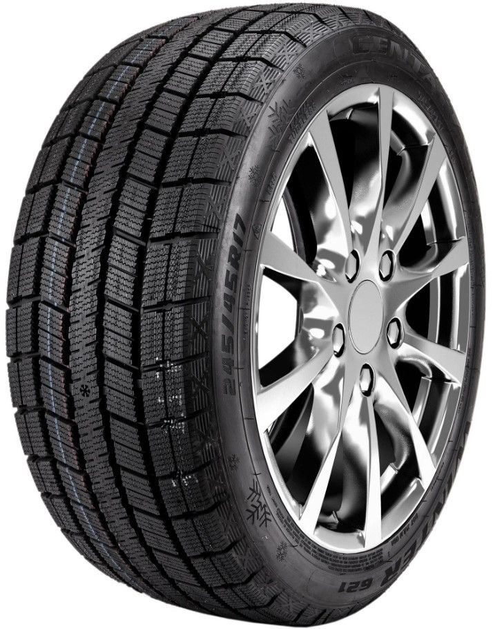Шины Centara WINTER RX621 205/55 R17 91H в интернет-магазине Автоэксперт в Москве